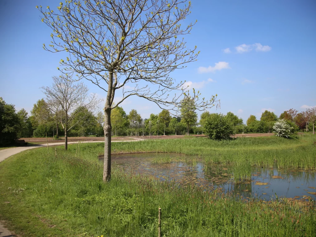 Natuurbegraafplaats Rijnhof Woerden